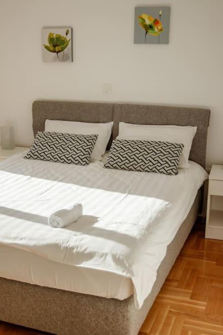 Acacia Hill Apartments Herceg Novi Esterno foto