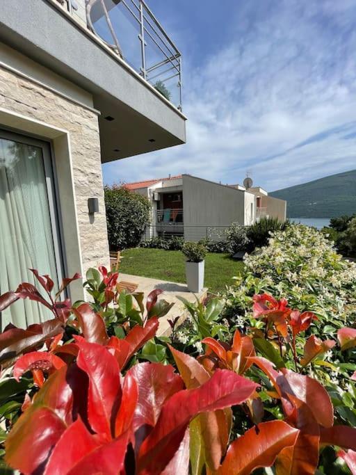 Acacia Hill Apartments Herceg Novi Esterno foto