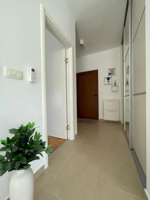 Acacia Hill Apartments Herceg Novi Esterno foto