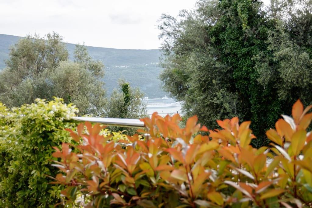 Acacia Hill Apartments Herceg Novi Esterno foto