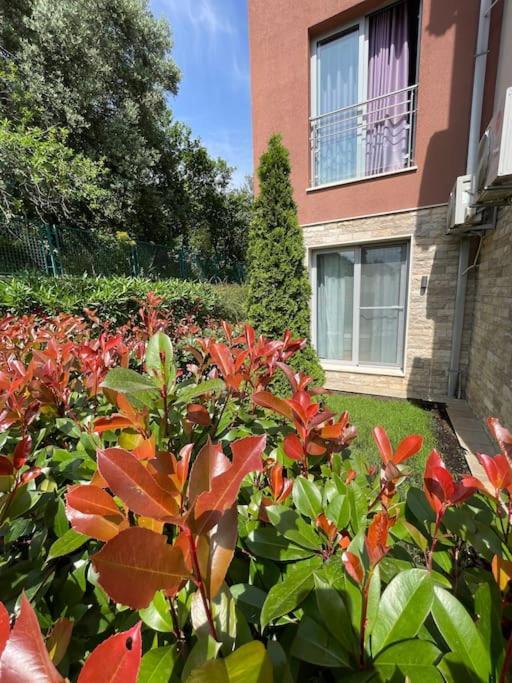 Acacia Hill Apartments Herceg Novi Esterno foto